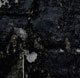 phloq#01 cover art